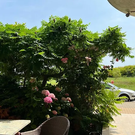 Appartement Stamopolulux директен изглед към морето *